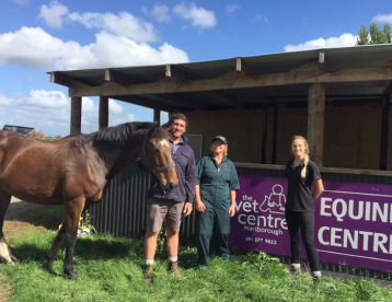 Animal Health Calendars