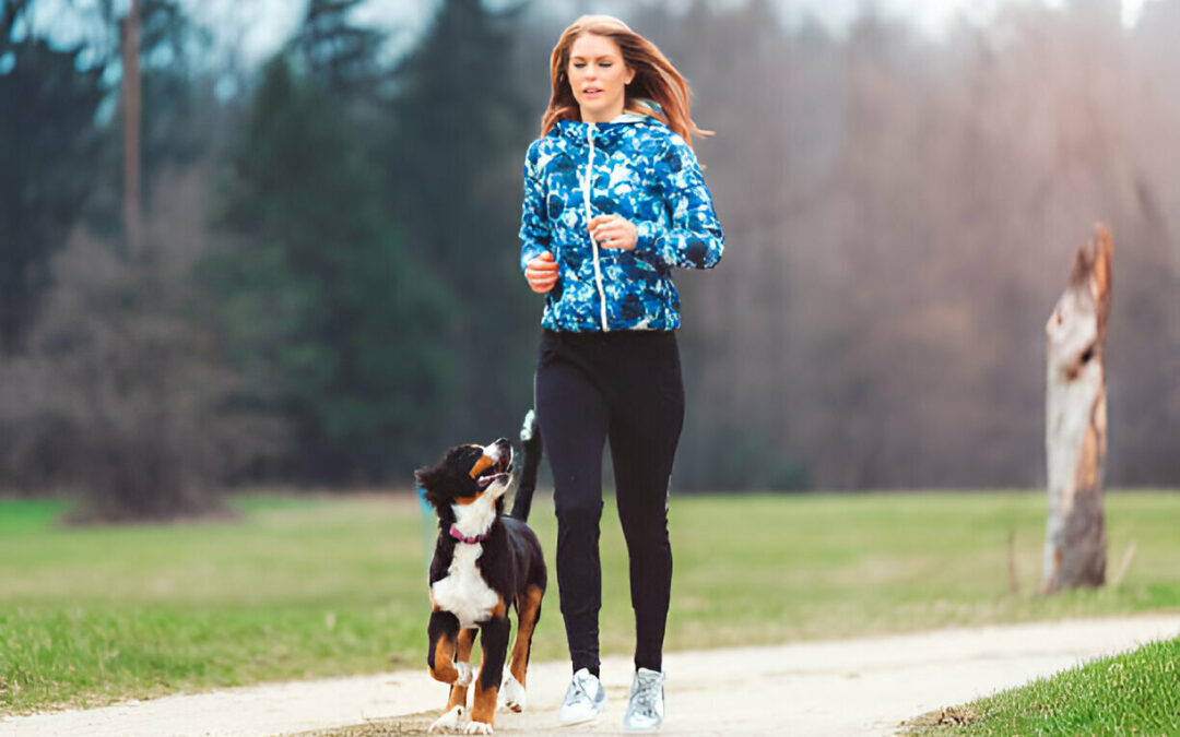 Exercising your puppy