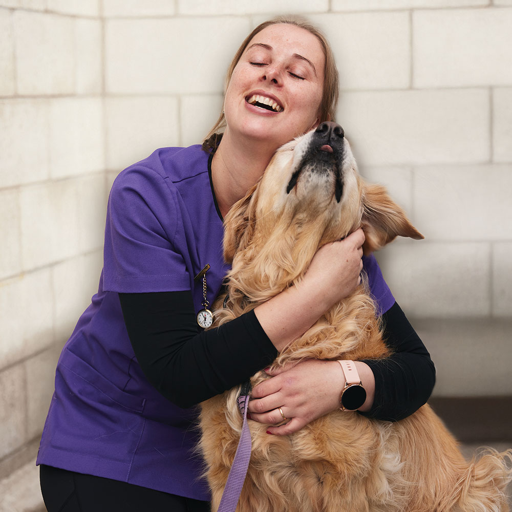 Vet Marlborough - Quality Veterinary Care Vet Marlborough - Quality Veterinary Care