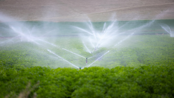 Drench Resistance Testing