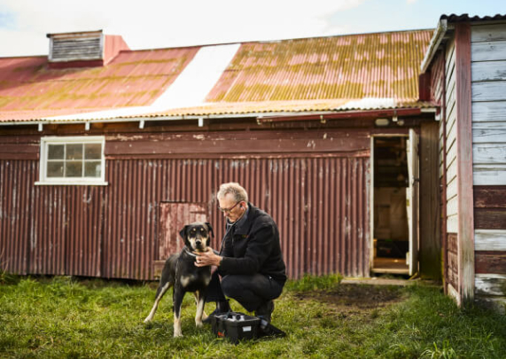 Our Clinic at Vet Marlborough